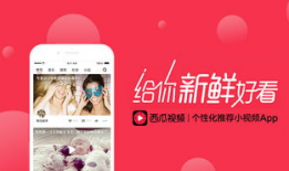 西瓜视频网页,短视频新潮流，轻松畅享精彩内容